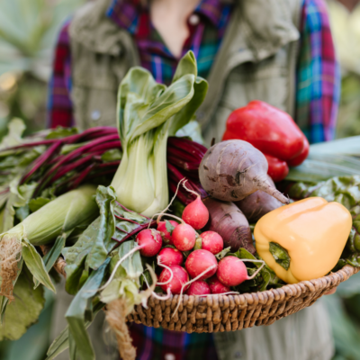 A person extending a tray of fresh radishes, corn, beets and peppers.