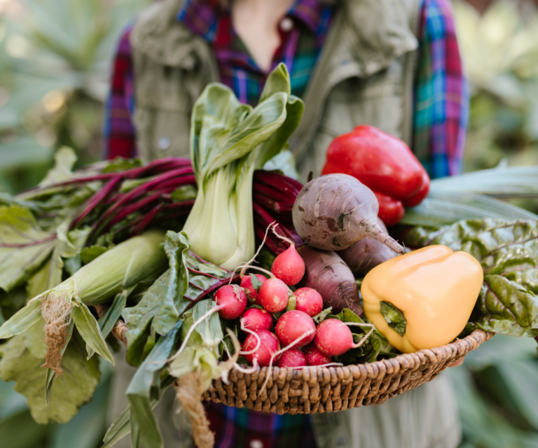 Our Priorities For The Farm Bill | Fruit And Vegetable Incentives