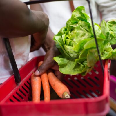 Closeup of person holding shopping basket, filling it with fresh carrots and lettuce.