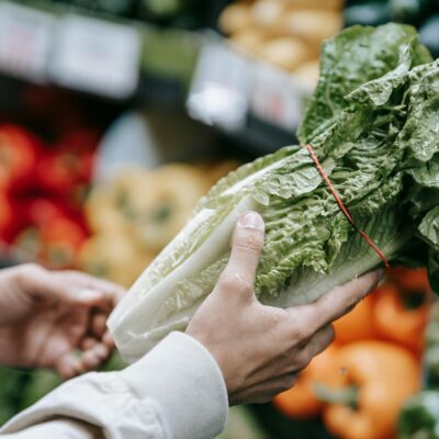 Image of hands holding a head of romaine lettuce in a grocery produce section.